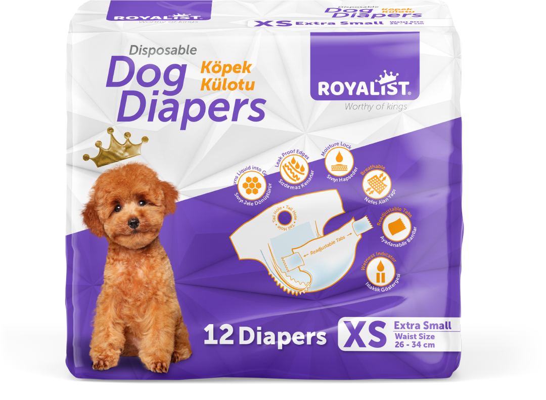 03738 ROYALIST KÜLOT XSMALL 12 Lİ