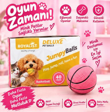 02223  ROYALİST ZIPLAYAN OYUNCAK SERT TOP 40MM 60 LI