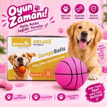 02220  ROYALİST ZIPLAYAN OYUNCAK SERT TOP 72MM 24 LÜ
