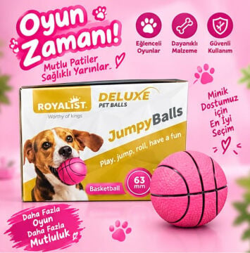 02221 ROYALİST ZIPLAYAN OYUNCAK SERT TOP 63MM 24 LÜ