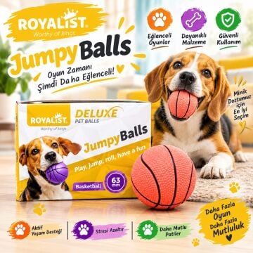 02221 ROYALİST ZIPLAYAN OYUNCAK SERT TOP 63MM 24 LÜ