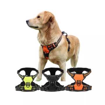02301 ROYALIST 201638 KÖPEK YELEĞİ S
